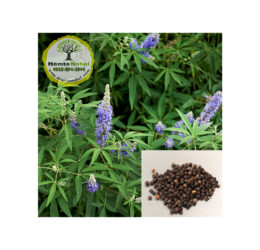 خرید نهال فلفل سیاه