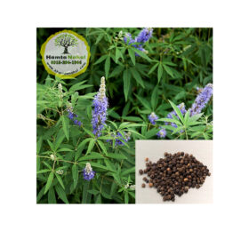 خرید نهال فلفل سیاه