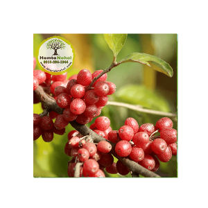 خرید نهال انگور ژاپنی(درختی)