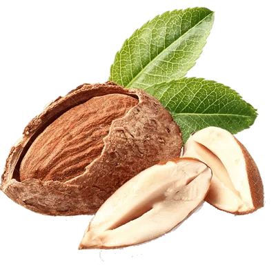 نهال بادام منقا