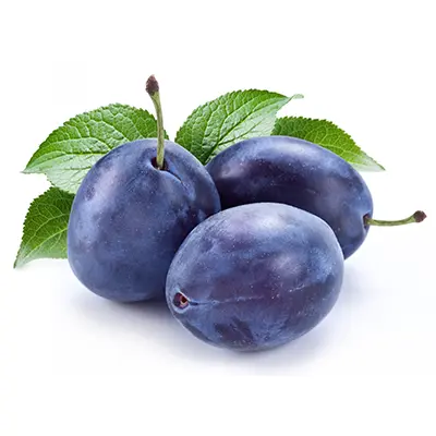 نهال آلو دامسونز