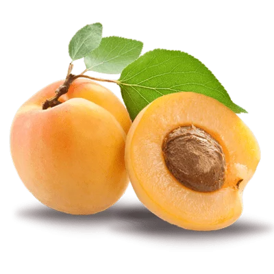 کاشت نهال زردآلو انبه ای