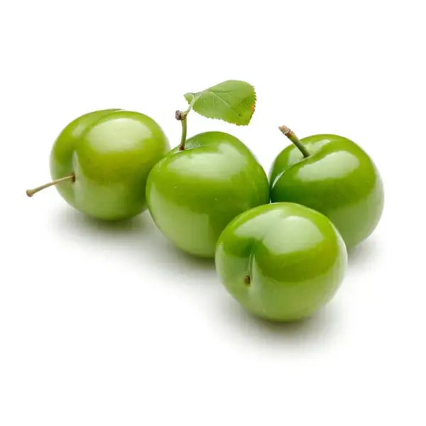 خرید نهال گوجه سبز سردرودی