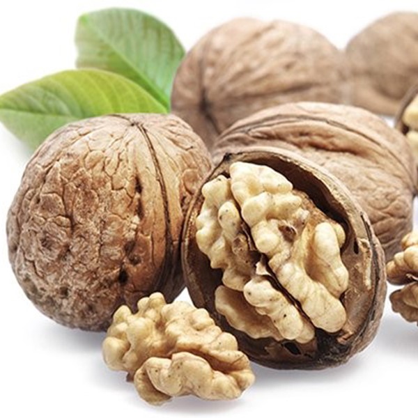 نهال گردو پیوندی هارتلی