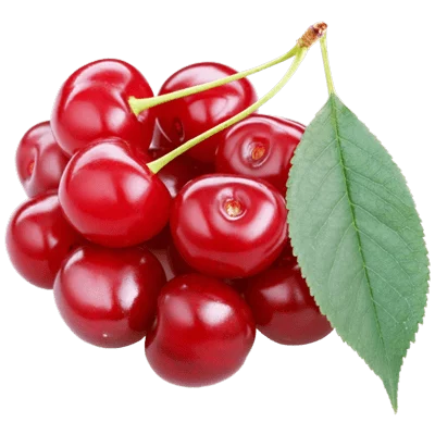 قیمت آلبالو گیسی