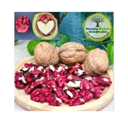 نهال گردو قرمز (توسرخ)